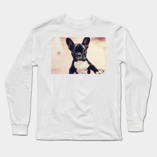 Cute pug Lover Long Sleeve T-Shirt